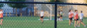 Chain Link vs Vinyl Fence in South Florida and Central Florida